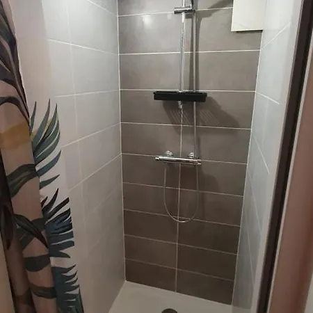 Maison Le Baron 13pers Proche Puy Du Fou 3*