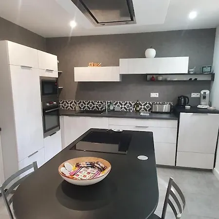 Gasthuis Maison Le Baron 13pers Proche Puy Du Fou 3*